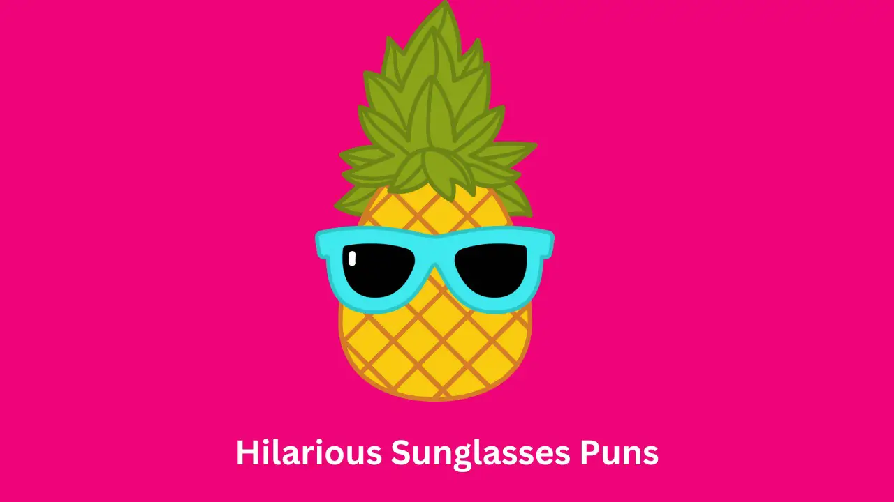 Hilarious Sunglasses Puns