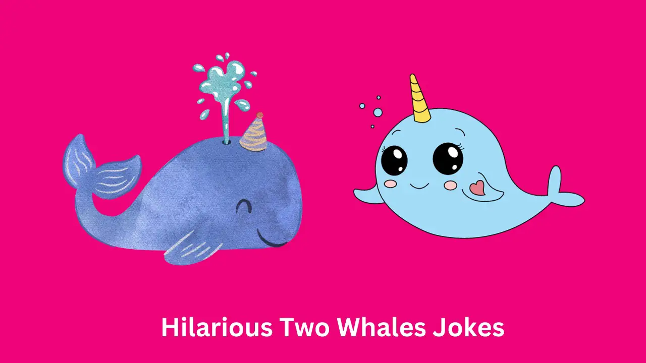 Hilarious Two Whales Jokes