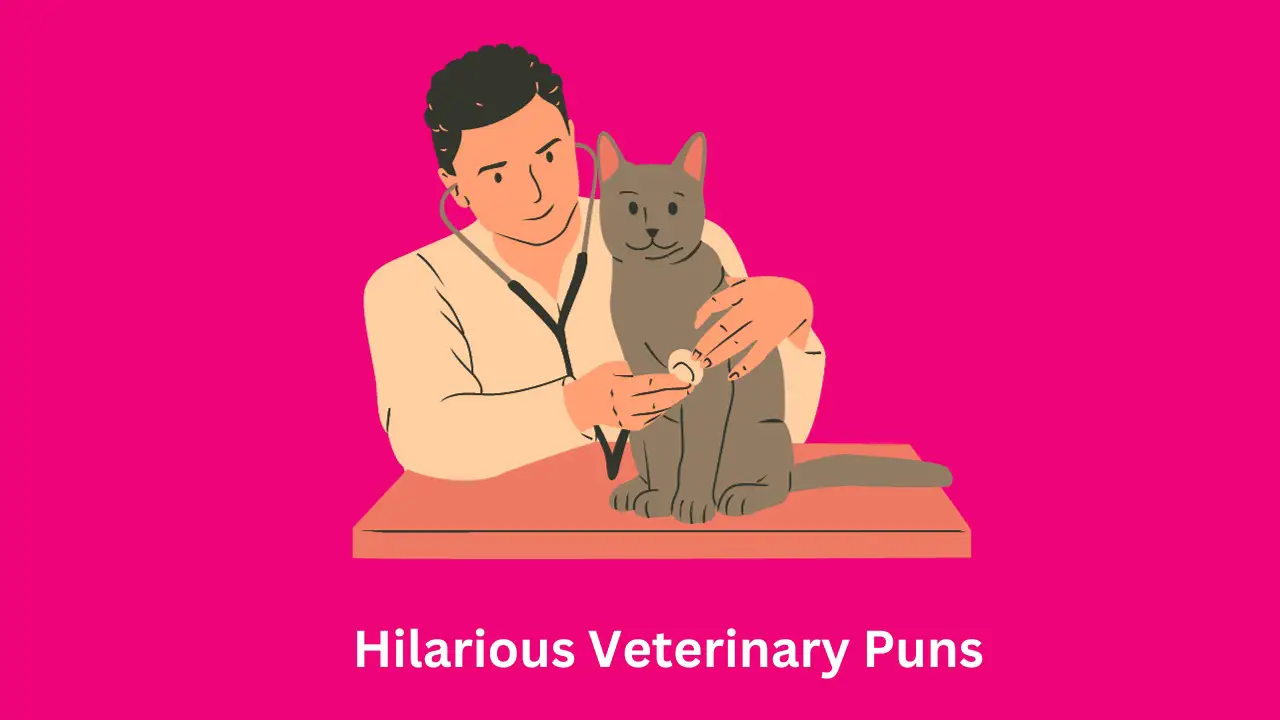 Hilarious Veterinary Puns