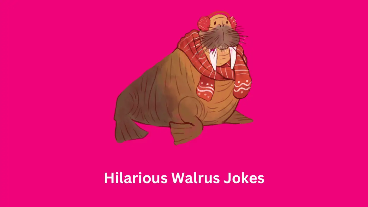Hilarious Walrus Jokes