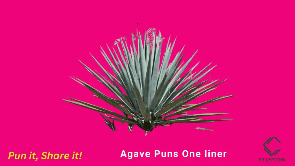 Agave puns one liner