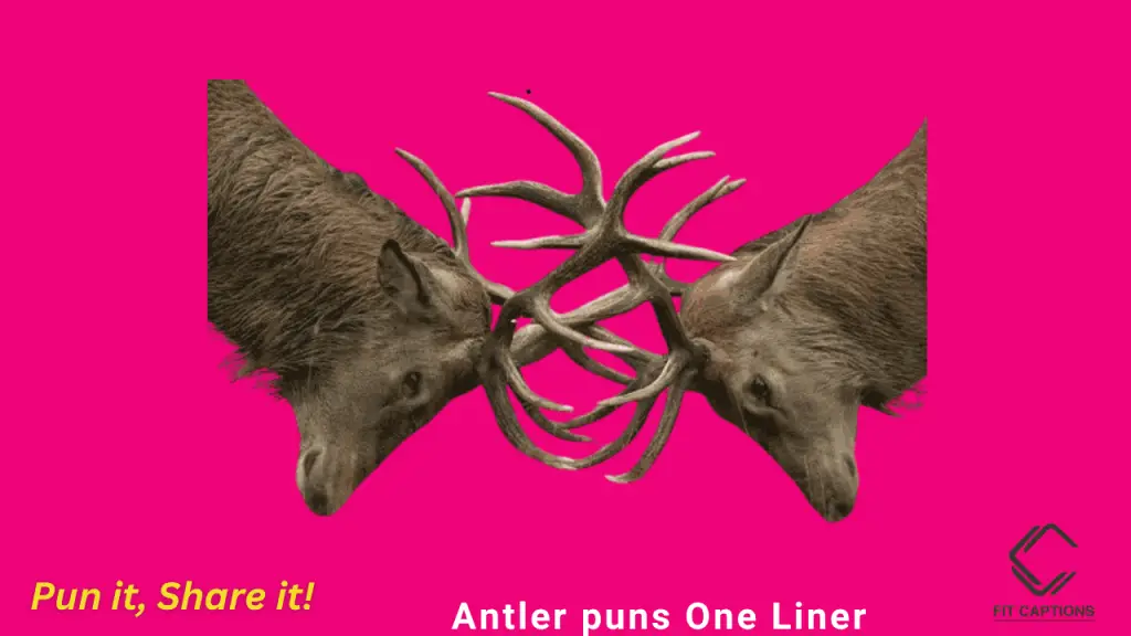 Antler Puns one liner