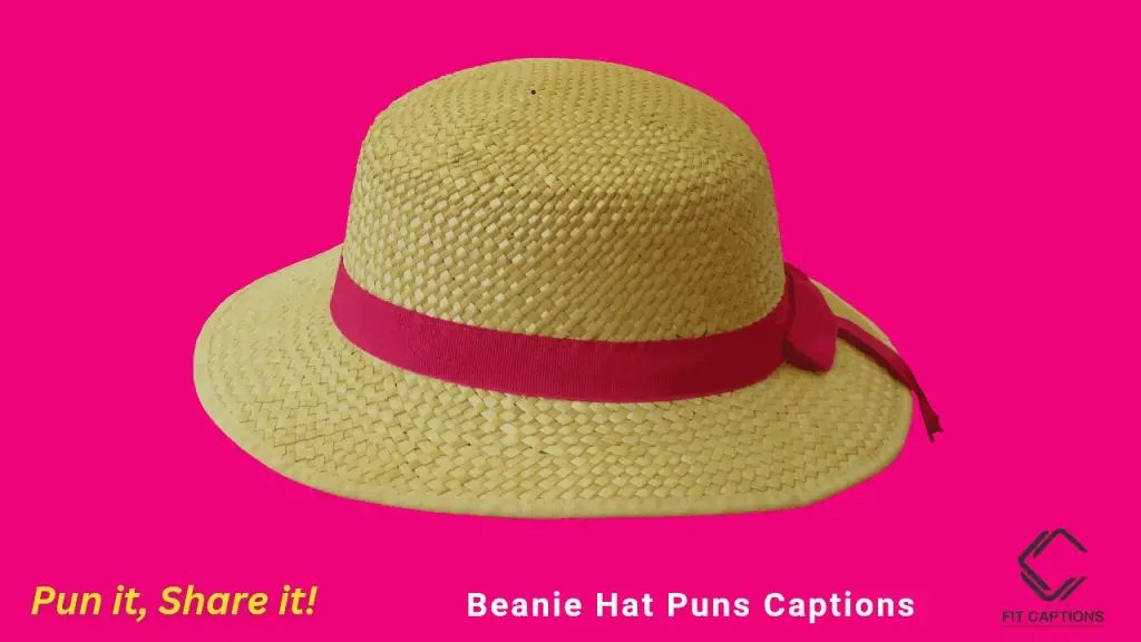Beanie hat puns Captions