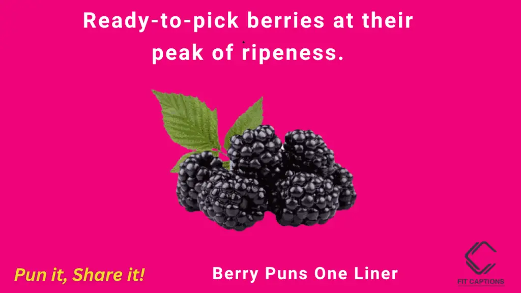 Berry puns One liner