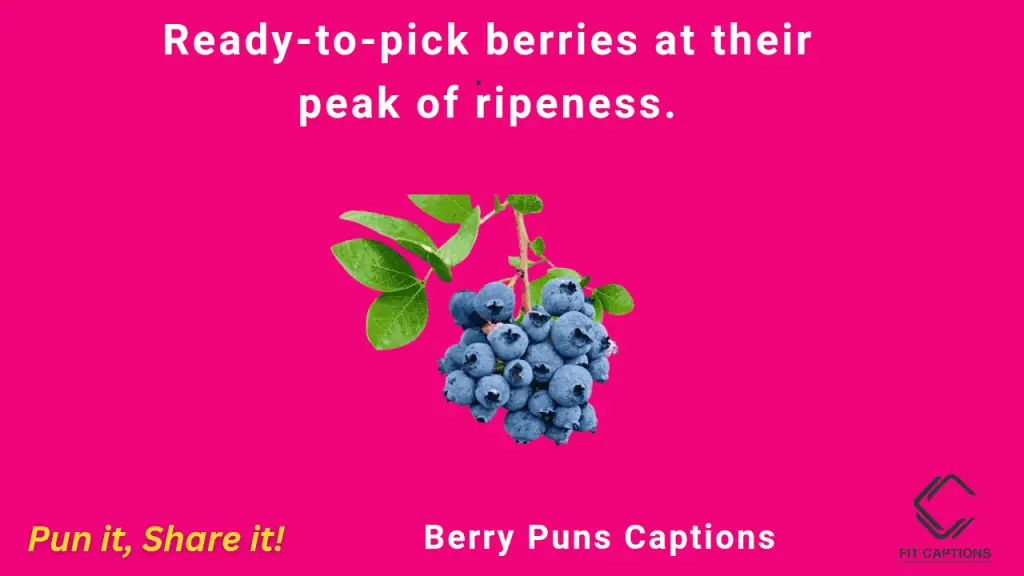 Berry puns captions