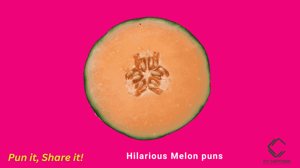 Hilarious Melon puns