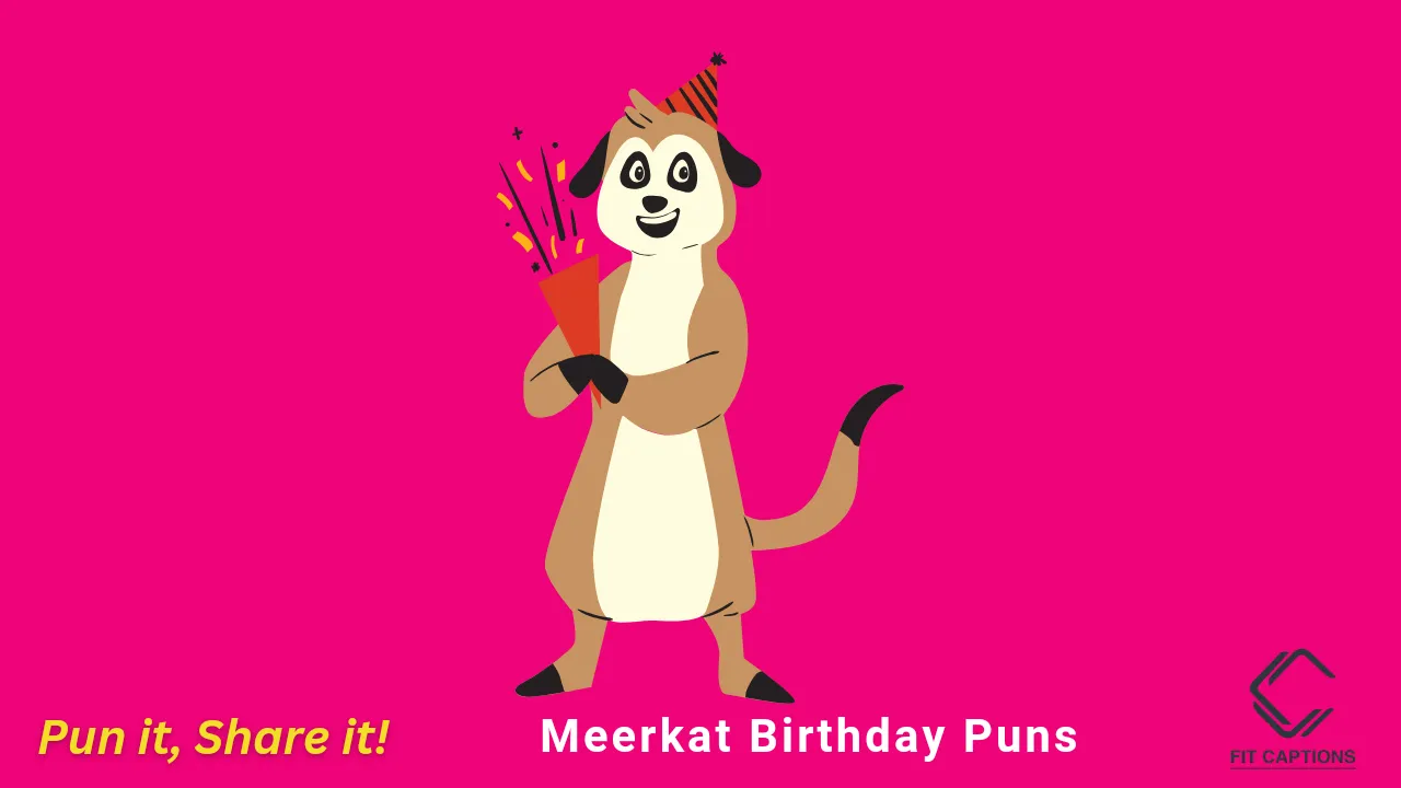 Meerkat Birthday Puns