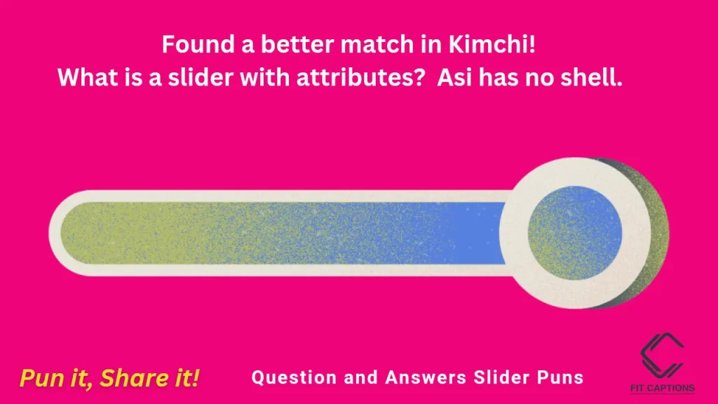 Question and Answers Slider Puns