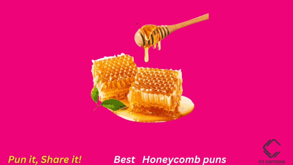 best honeycomb pund