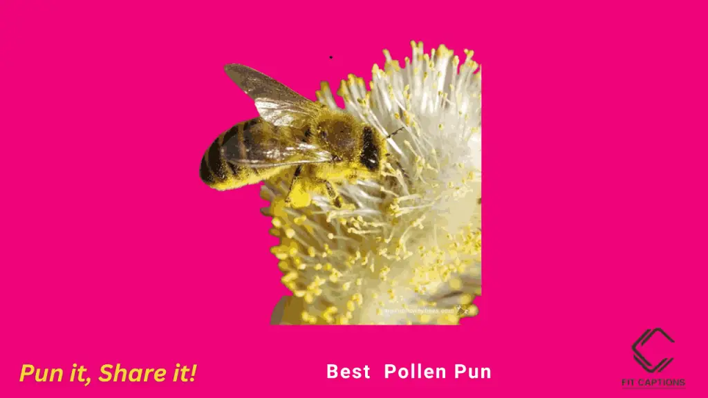 best pollen puns