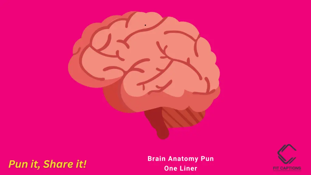 brain autonomy puns one liner