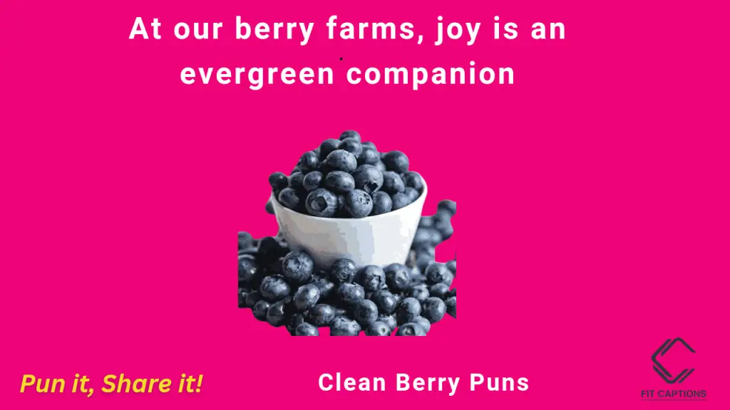 clean berry puns