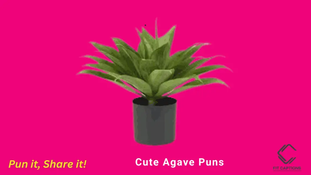 cute agave puns
