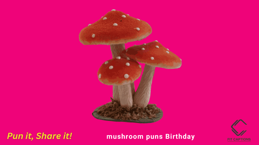 mushroom birthday puns