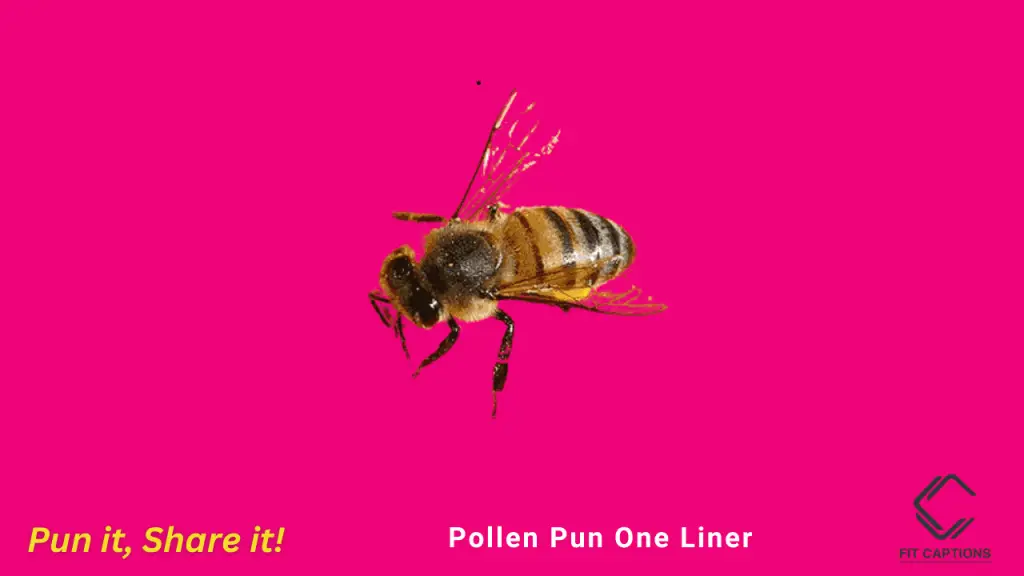 pollen puns one liner