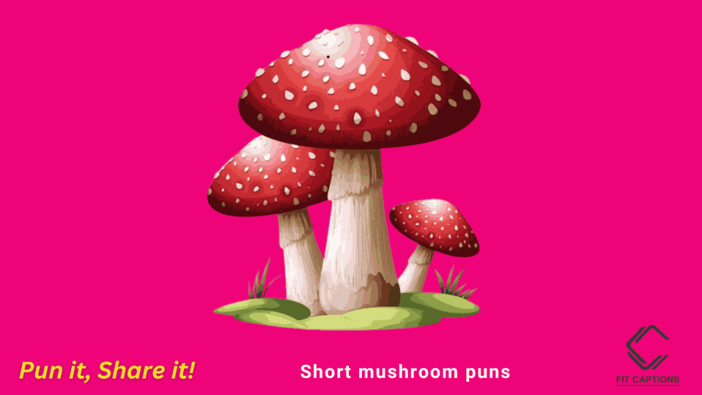 short mushroom puns