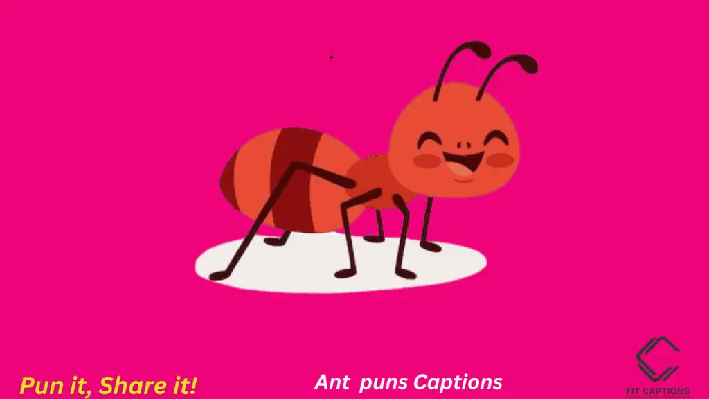 Ant Puns Captions