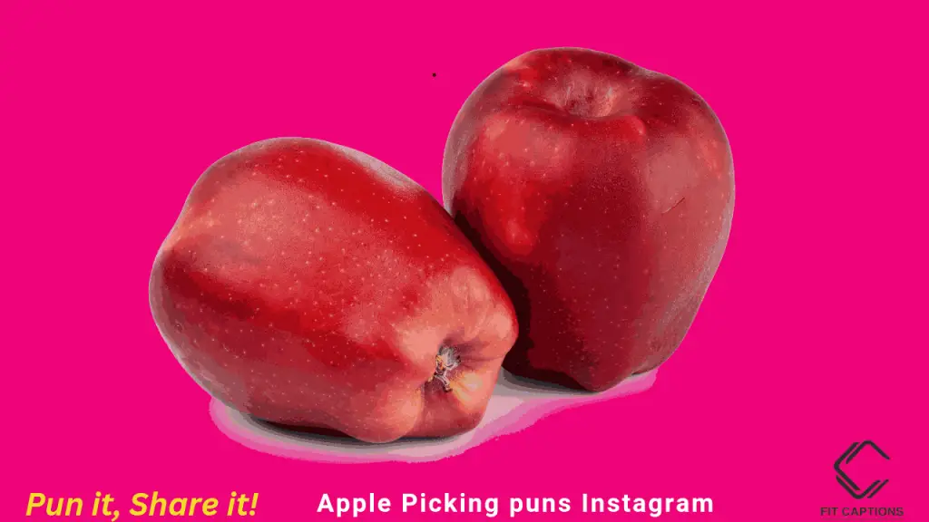 Apple Picking puns Instagram