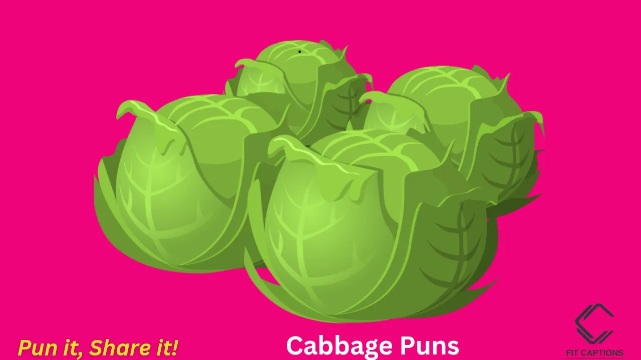 Cabbage Puns