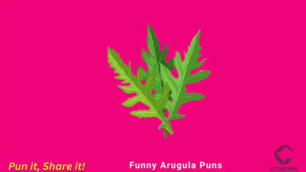 Funny Arugula puns
