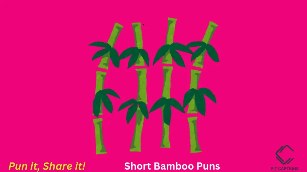 Cheesy Short Bamboo Puns