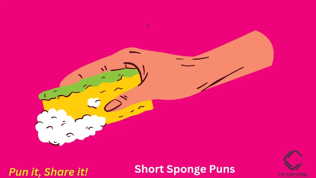 Short Sponge Puns