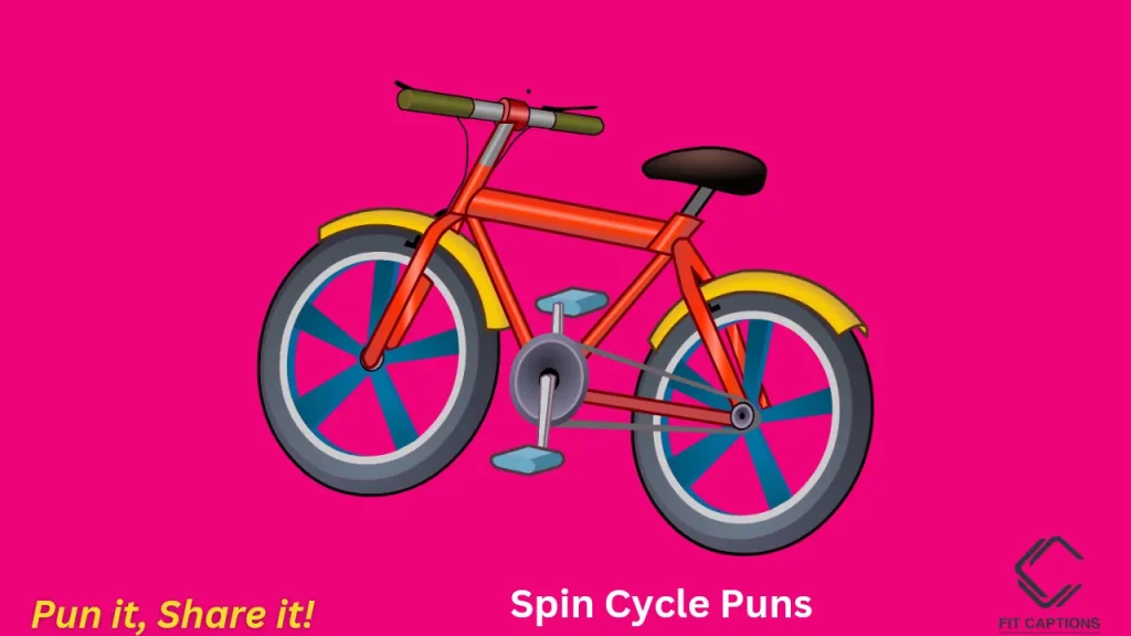 Spin Cycle Puns