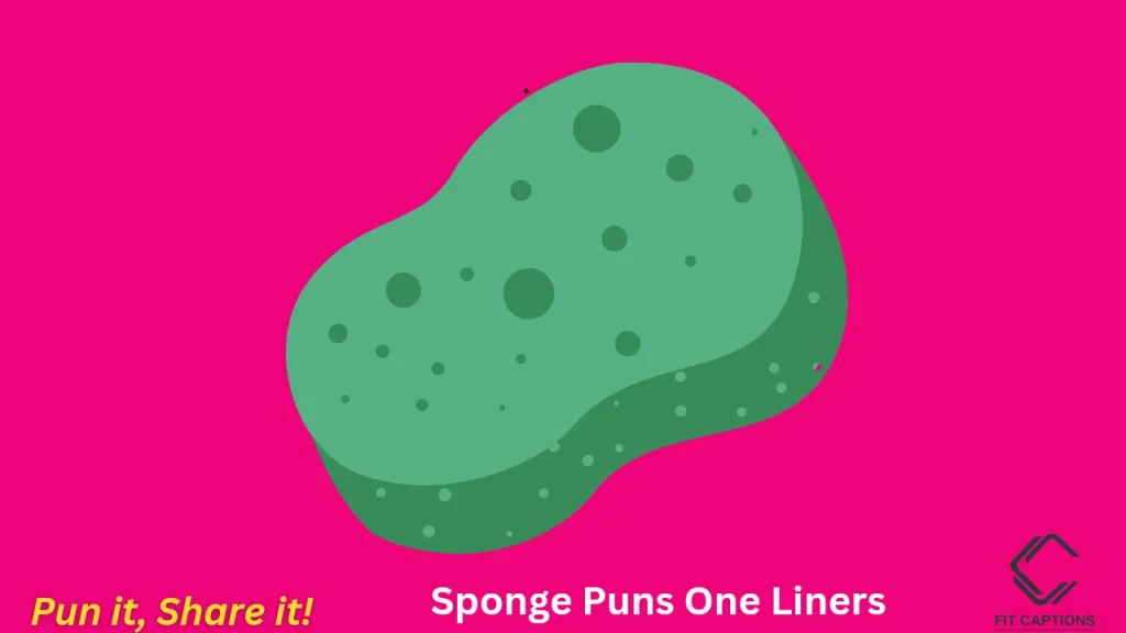 Sponge Puns One Liners