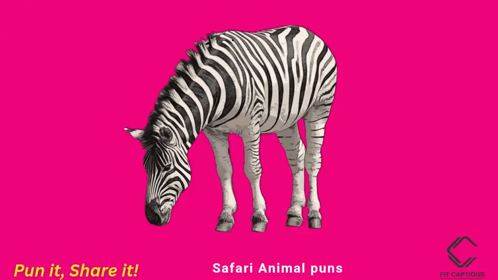 safari Animal puns
