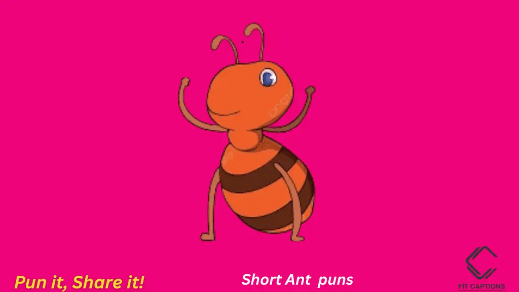 short Ant puns