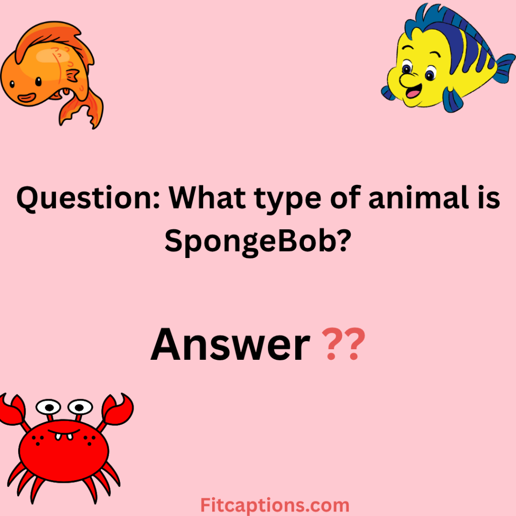 "South Park Trivia Questions and Answers"
