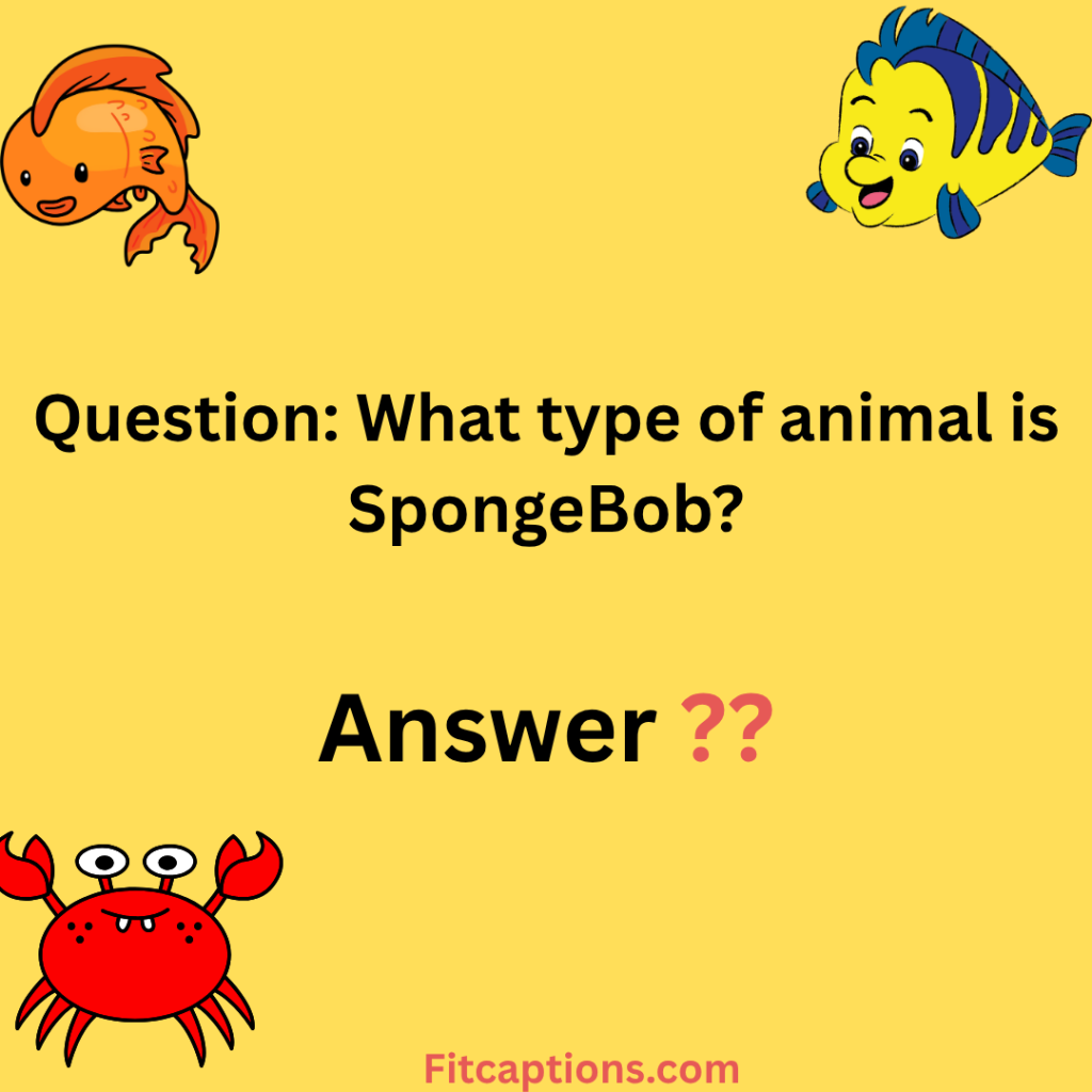 "South Park Trivia Questions and Answers"