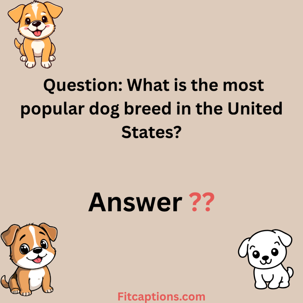 "Dog Trivia Questions and Answers"