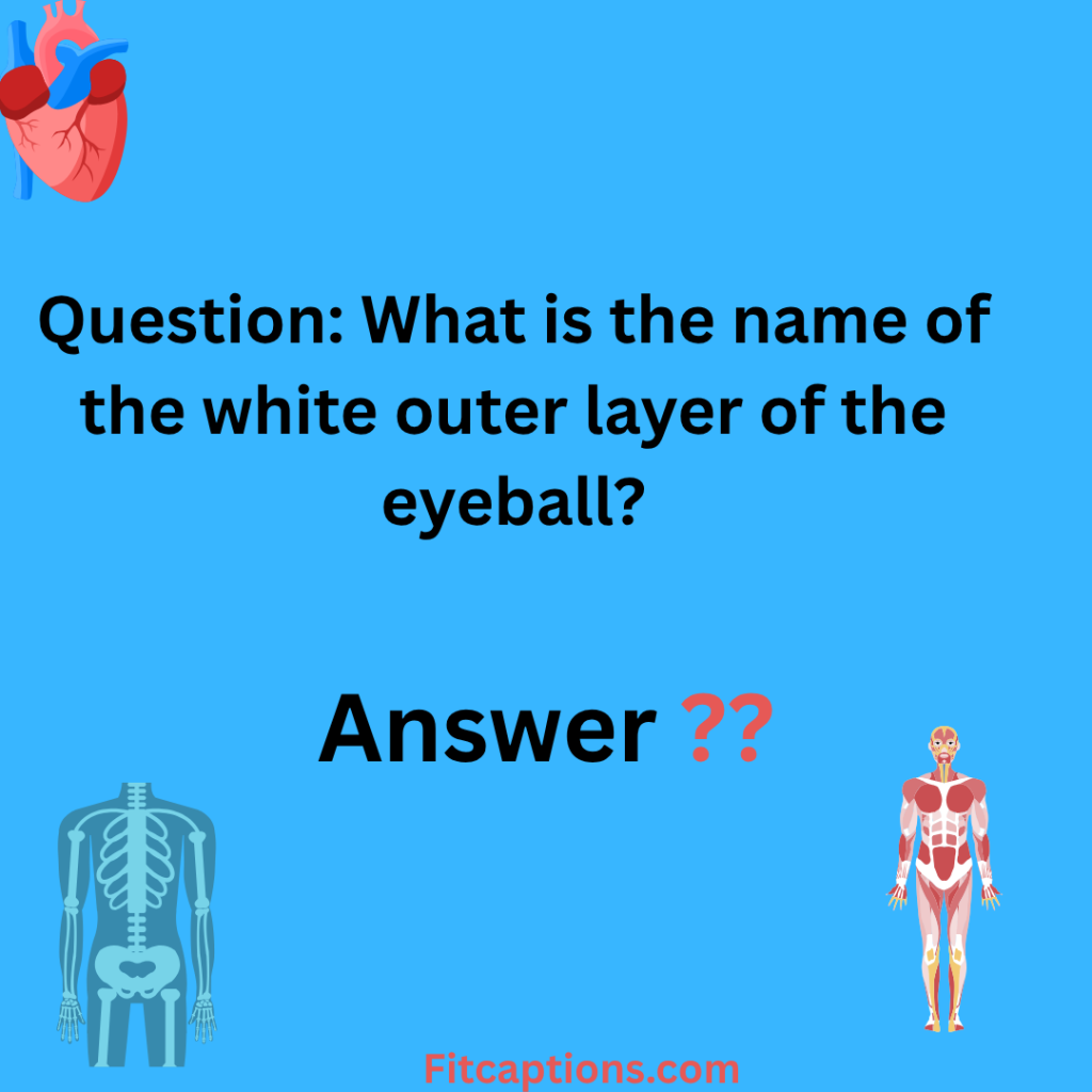 "Anatomy Trivia Questions and Answers"