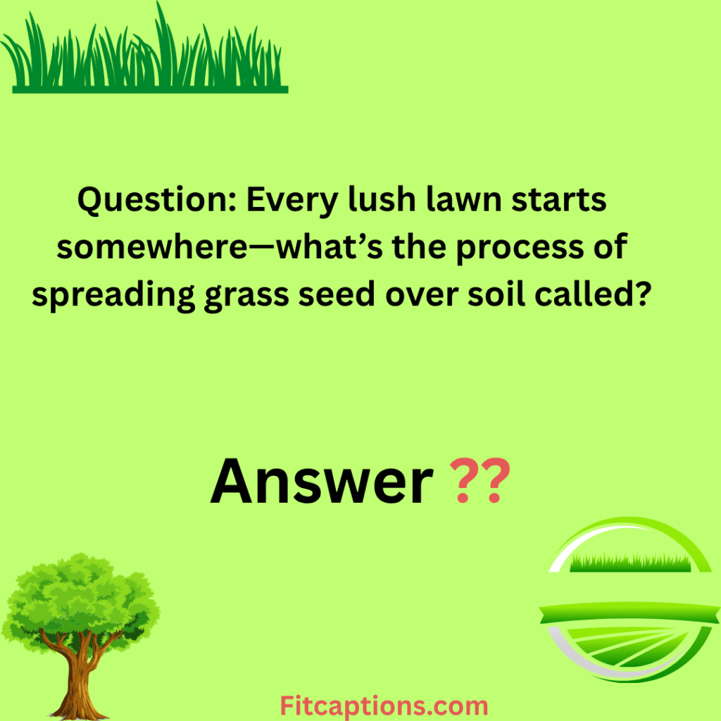 "Lawn Care Trivia Questions and Answers"
