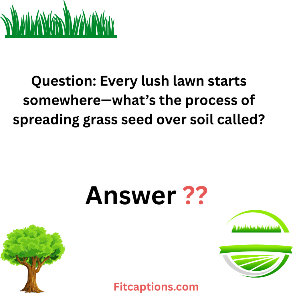 "Lawn Care Trivia Questions and Answers"