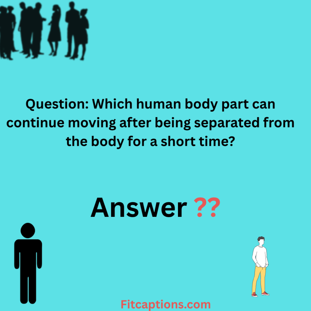 "Human Trivia Questions and Answers"