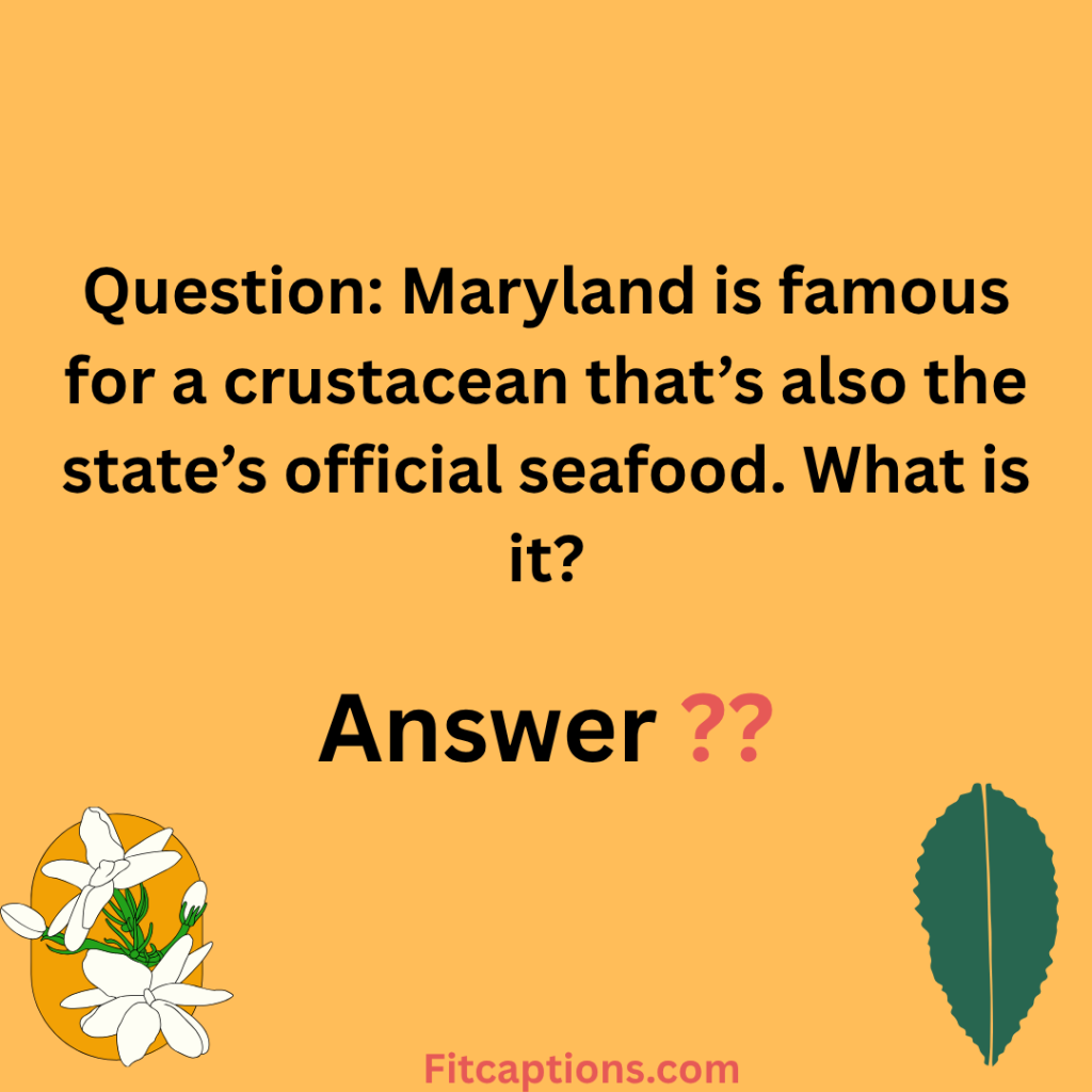 "Maryland Trivia Questions and Answers"