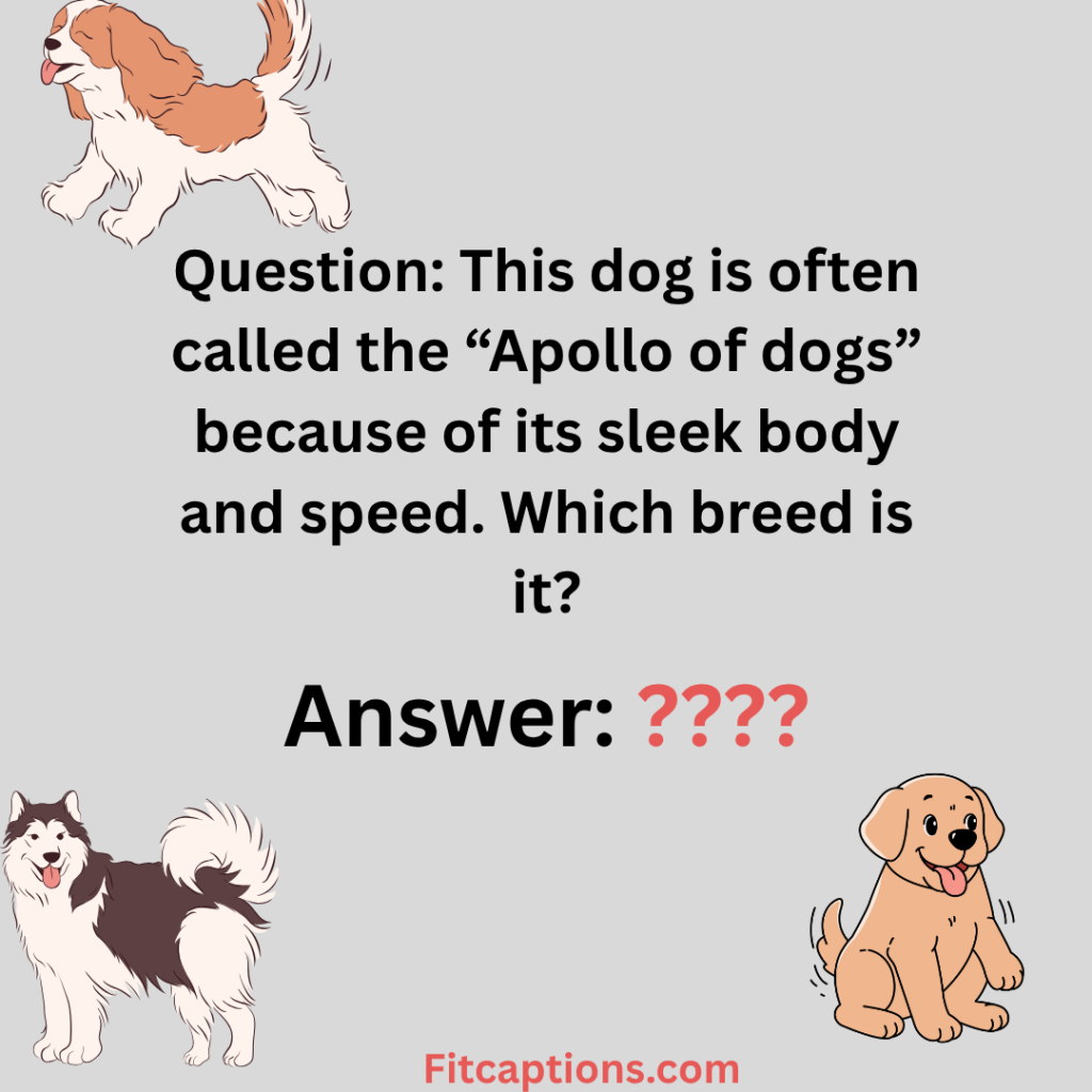"Dog Breed Trivia Questions and Answers "