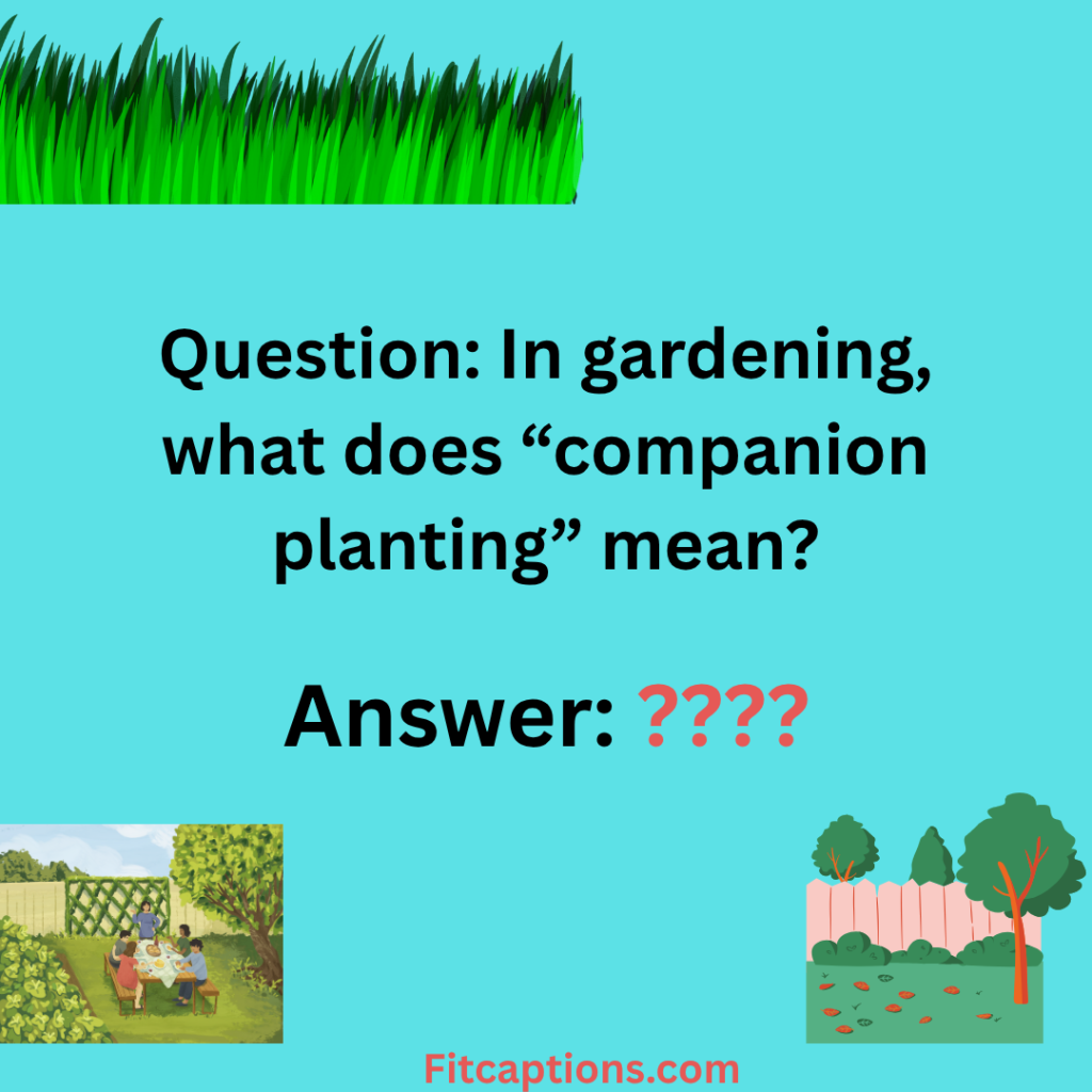 "Gardening Trivia Questions and Answers"