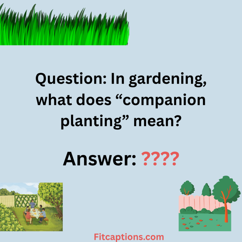 "Gardening Trivia Questions and Answers"