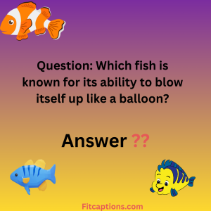 Fish Answer 157+ Fish Trivia Questions and Answers – Test Your Knowledge of the ...