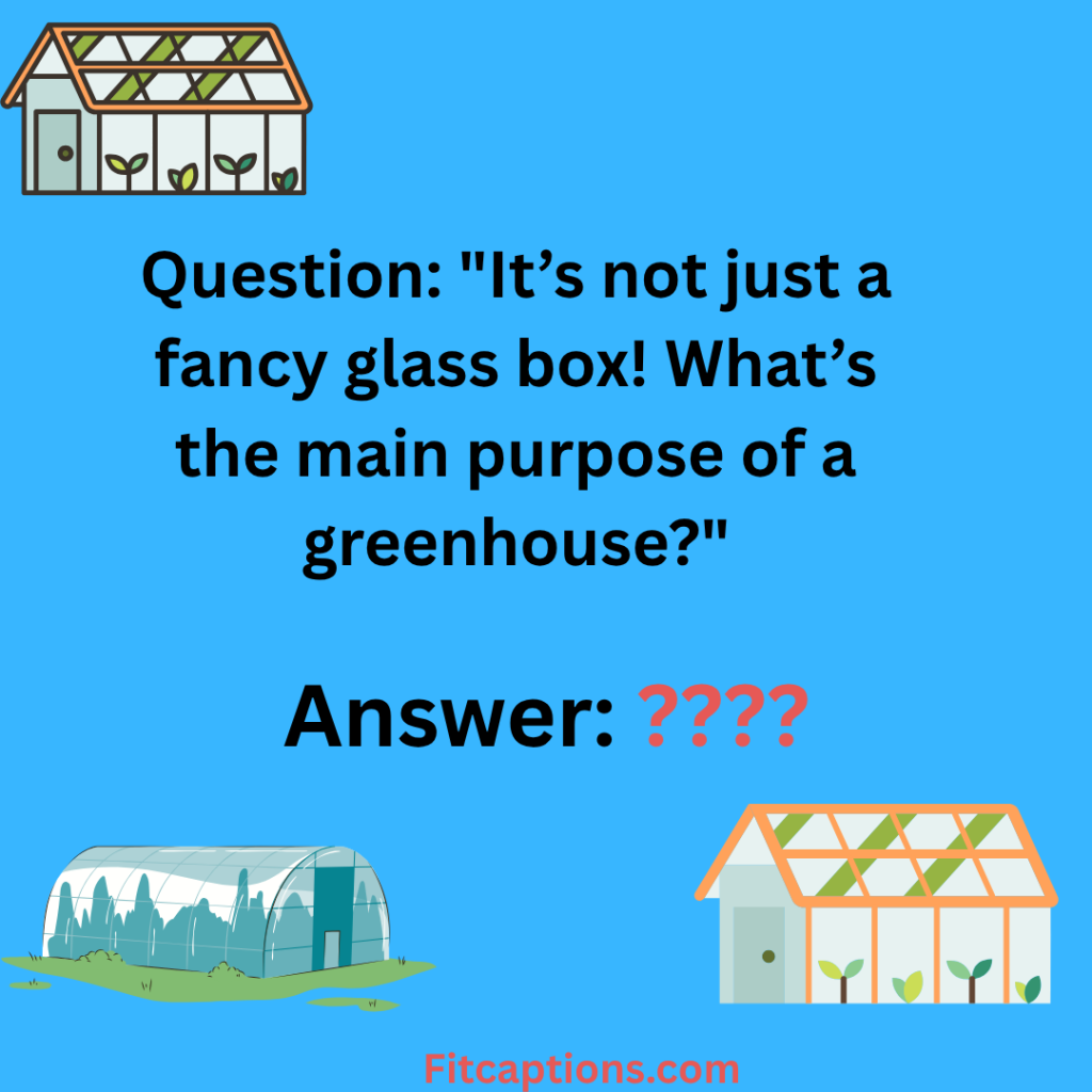 "Greenhouse Trivia Questions and Answers "