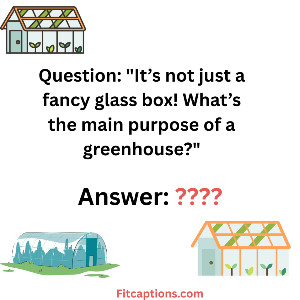 "Greenhouse Trivia Questions and Answers "