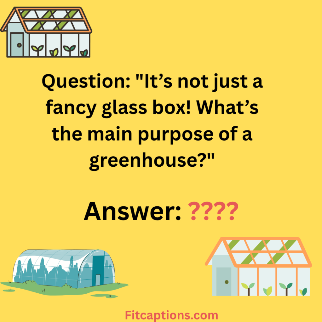"Greenhouse Trivia Questions and Answers "