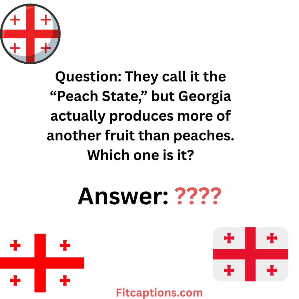 " Georgia Trivia Questions and Answers"
