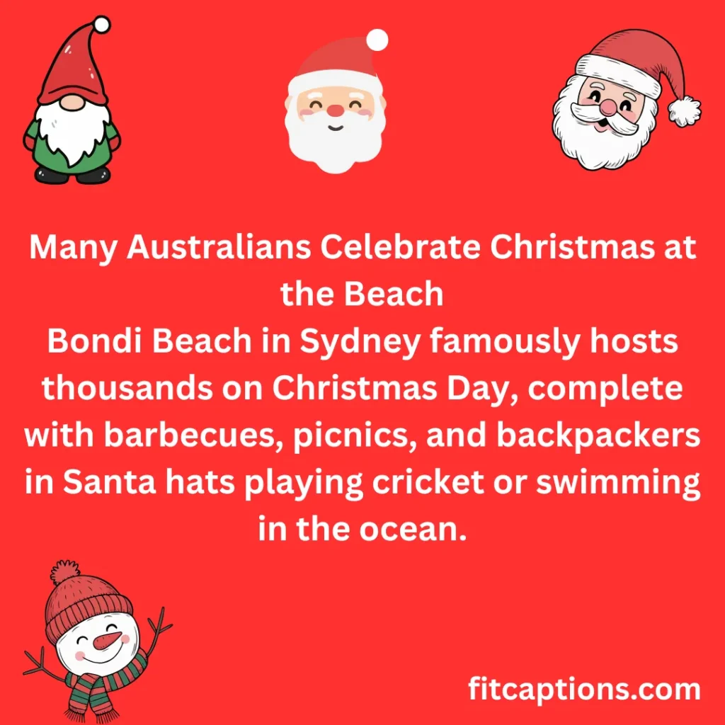 "10 Interesting Facts About Christmas in Australia"