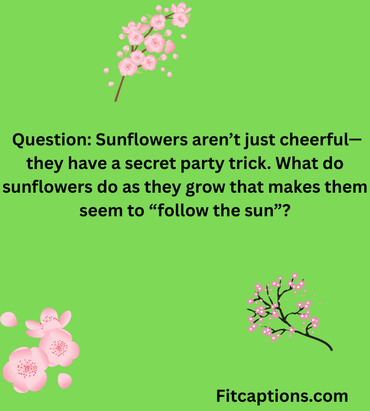 "Flower Trivia Questions and Answers"