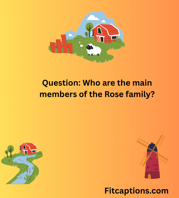 " Schitt’s Creek Trivia Questions and Answers"