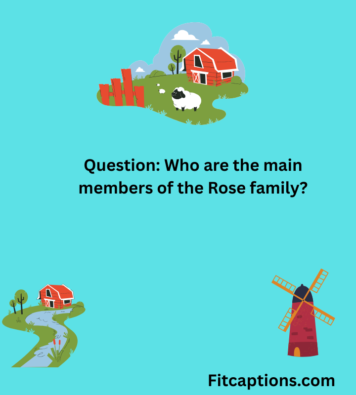 " Schitt’s Creek Trivia Questions and Answers"